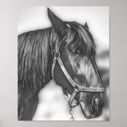 Een echte schoonheid poster (Voorkant)