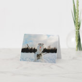 Een echte Sneeuwman & een winterlandschapsfoto met Kaart (Voorkant)
