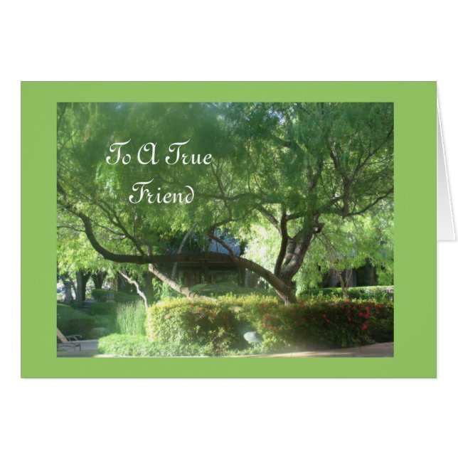 Een echte vriend (Voorkant Horizontaal)