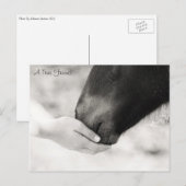 Een echte vriend briefkaart (Voorkant / Achterkant)