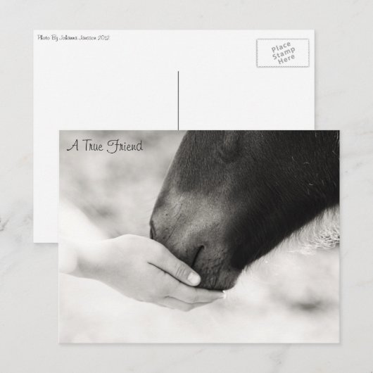 Een echte vriend briefkaart (Voorkant / Achterkant)