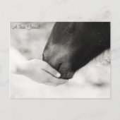 Een echte vriend briefkaart (Voorkant)