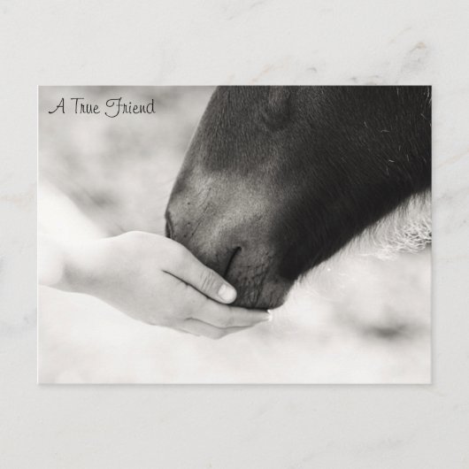 Een echte vriend briefkaart (Voorkant)