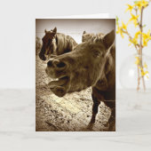 Een echte vriend kaart (Gele Bloem)