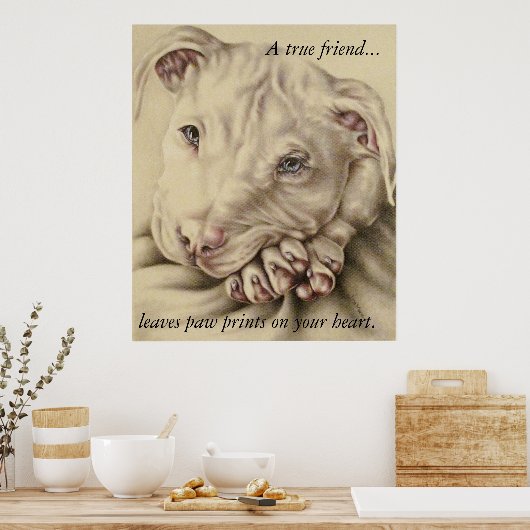 Een echte vriend laat verf afdrukken: Pit Bull-Pos Poster (Keuken)