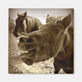 Een echte vriend magneet (Voorkant)