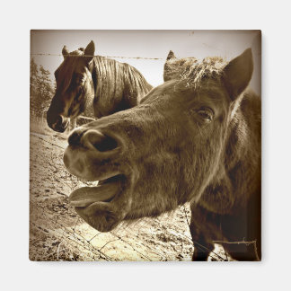 Een echte vriend magneet