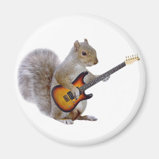 Een eekhoorn die gitaar speelt magneet