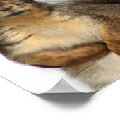 Een eekhoorn met een Pet grafische kunst Poster (Hoek)