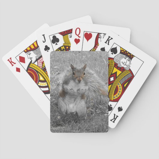 Een eekhoorn pokerkaarten (Achterkant)