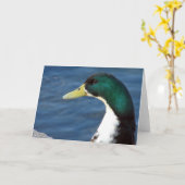 Een eend in het park kaart (Gele Bloem)