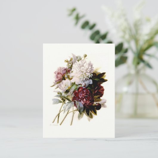 Een eenhoevige pony van Pierre-Joseph Redouté Briefkaart (Staand voorkant)