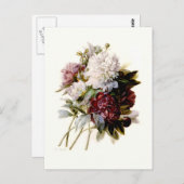 Een eenhoevige pony van Pierre-Joseph Redouté Briefkaart (Voorkant / Achterkant)