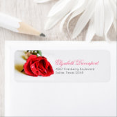 Een eenmalig minimalistisch elegante roodroos etiket (Insitu)