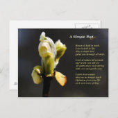 Een eenvoudig Bud Briefkaart (Voorkant / Achterkant)