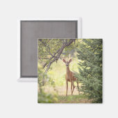 Een eenzaam hert magneet (Voorkant / Achterkant)