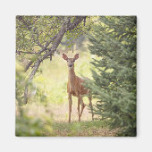 Een eenzaam hert magneet (Voorkant)