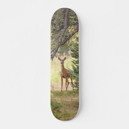 Een eenzaam hert persoonlijk skateboard (Voorkant)