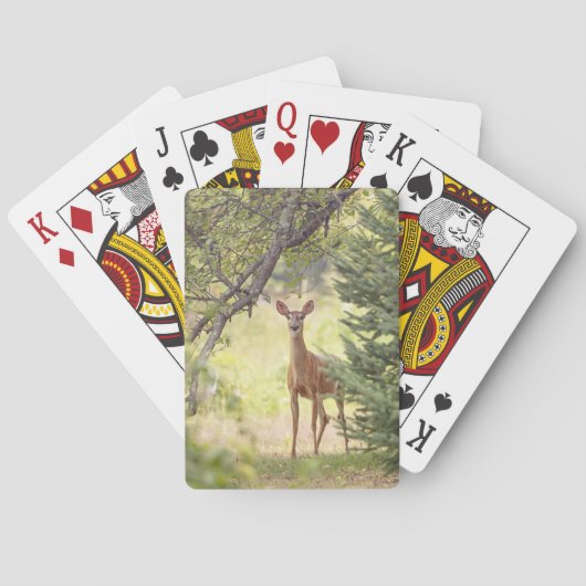Een eenzaam hert pokerkaarten (Achterkant)