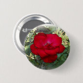 Een eenzaam roos ronde button 5,7 cm (Voorkant /achterkant)