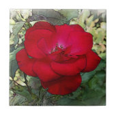 Een eenzaam roos tegeltje (Voorkant)