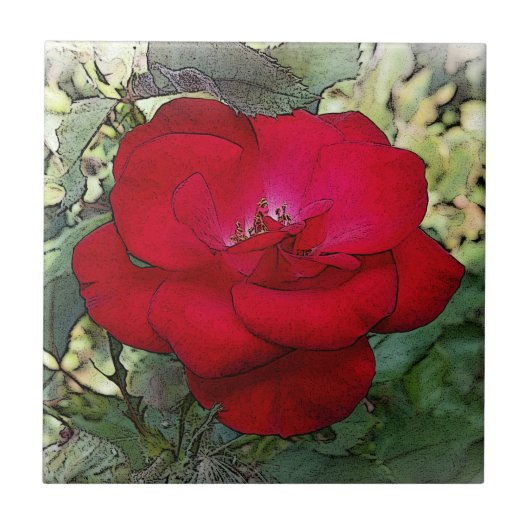 Een eenzaam roos tegeltje (Voorkant)