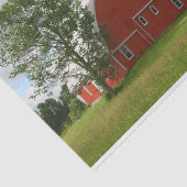 Een eenzame boom die een slappe rode schuur bewaak tissuepapier (Detail)