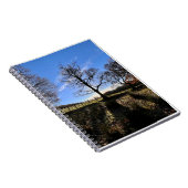 Een eenzame boom. notitieboek (Rechterzijde)