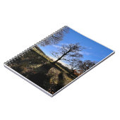 Een eenzame boom. notitieboek (Linkerzijde)
