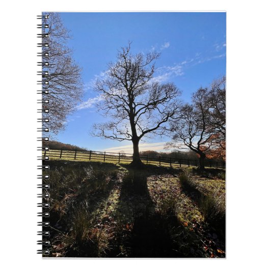 Een eenzame boom. notitieboek (Voorkant)
