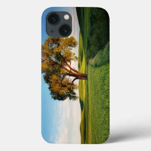 Een eenzame boom omgeven door het rollen van tarwe Case-Mate iPhone case