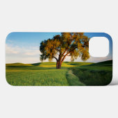 Een eenzame boom omgeven door het rollen van tarwe Case-Mate iPhone case (Achterkant (horizontaal))