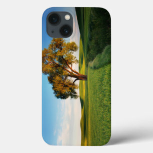 Een eenzame boom omringd door glooiende heuvels me iPhone 13 hoesje