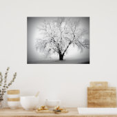 Een eenzame boom op de ND-prairie Poster (Keuken)