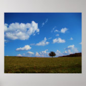 Een eenzame boom poster (Voorkant)