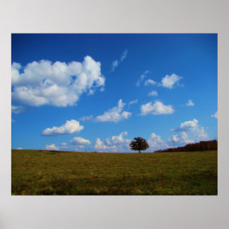 Een eenzame boom poster