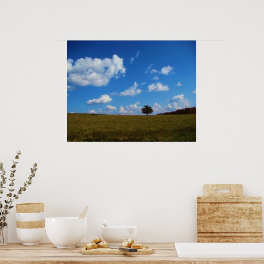 Een eenzame boom poster (Keuken)