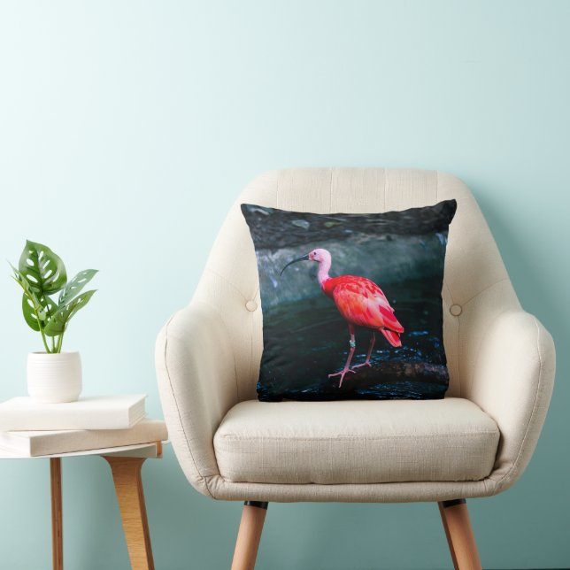 Een eenzame flamingo vogel kussen (Stoel)