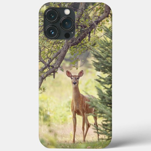 Een eenzame hert Case-Mate iPhone case (Achterkant)