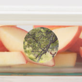 Een eenzame hert labels (Aangebracht)