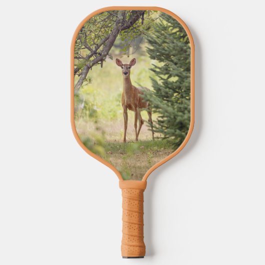 Een eenzame hert pickleball paddle (Voorkant)