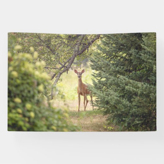 Een eenzame hert spandoek (Horizontaal)