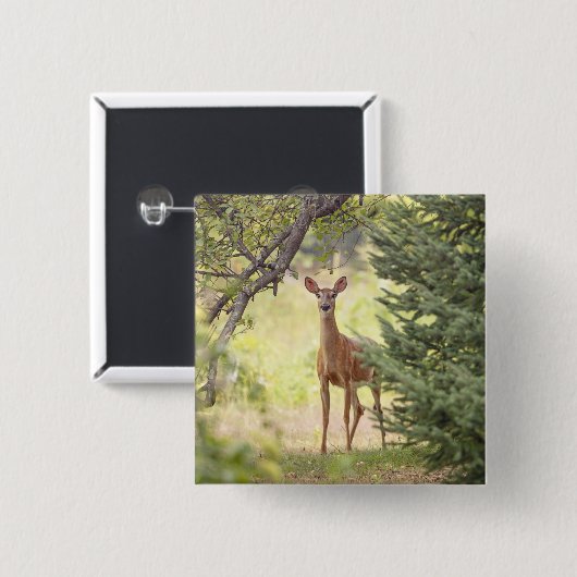 Een eenzame hert vierkante button 5,1 cm (Voorkant /achterkant)