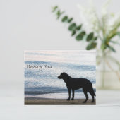 Een eenzame hond met een "Missing You"-bericht Briefkaart (Staand voorkant)