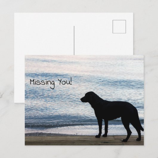 Een eenzame hond met een "Missing You"-bericht Briefkaart (Voorkant / Achterkant)
