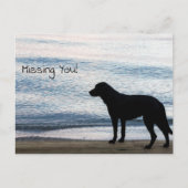 Een eenzame hond met een "Missing You"-bericht Briefkaart (Voorkant)