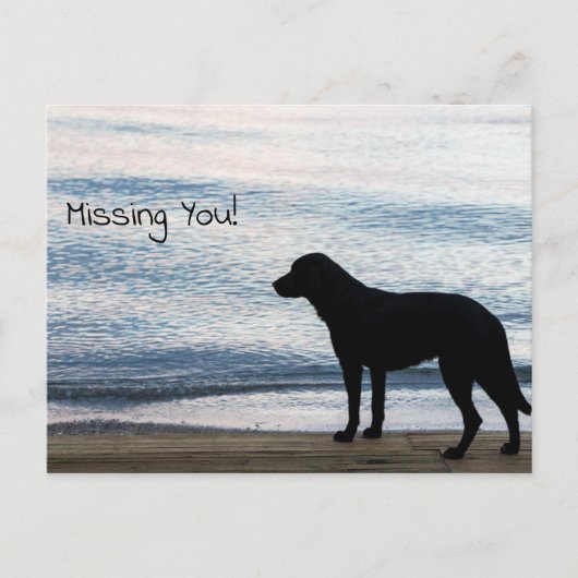 Een eenzame hond met een "Missing You"-bericht Briefkaart (Voorkant)