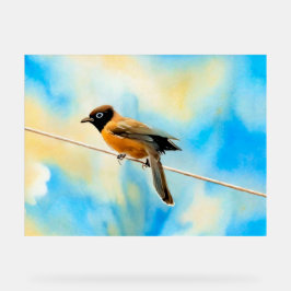 Een eenzame kleurrijke vogel acryl bord