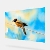 Een eenzame kleurrijke vogel acryl bord (Hoek)