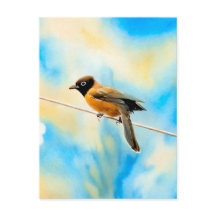 Een eenzame kleurrijke vogel